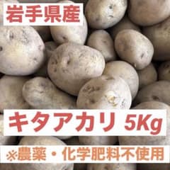 岩手県産 じゃがいも キタアカリMサイズ 5kg 約35個前後 訳あり - メルカリ