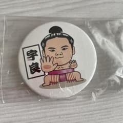 宇良関缶バッチのサムネイル