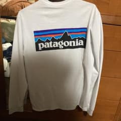 パタゴニア ロンTのサムネイル