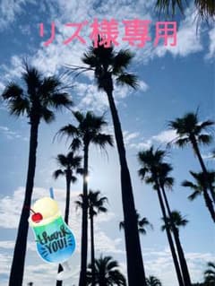 ★リズ様専用ページ★セパルフェ コンブチャクレンズ 3本セットのサムネイル