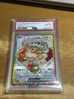 最終値下げ！【PSA鑑定10】イーブイexSAR 224/187sv8a極美品 - メルカリ