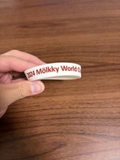 2024 Mölkky World Championship 出場者ラバーバンドのサムネイル