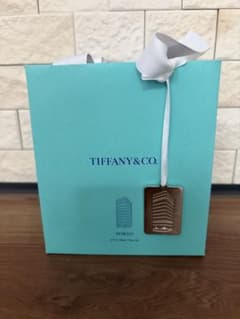 Tiffany & Co. ティファニー銀座本店限定 ショップ袋 チャーム付き