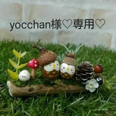 yocchan様♡専用   どんぐりアート 小粒なフクロウ 流木 置物のサムネイル