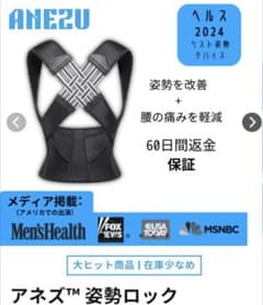 正規品 アネズ姿勢ロック XXXLのサムネイル