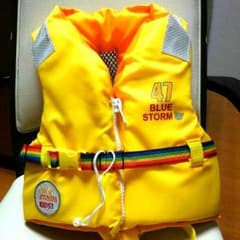 ライフジャケット　HanaHanaさん専用!!のサムネイル