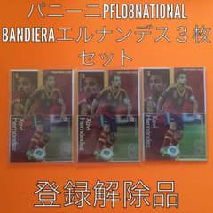 (^_^)vパニーニPFL08NATIONAL BANエルナンデス３枚組のサムネイル