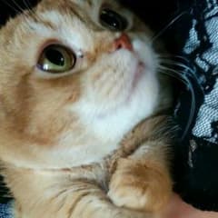 RⅢ様専用のサムネイル