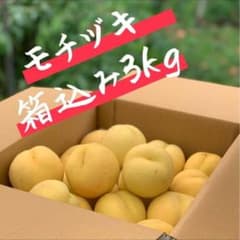 珍しい!! 黄桃 桃 もちづき 数量限定 3kg以上のサムネイル