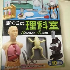 リーメント ぼくらの理科室 かえるの解剖のサムネイル