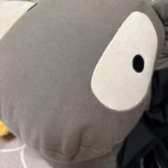 カピバラさん✳︎専用✳︎のサムネイル