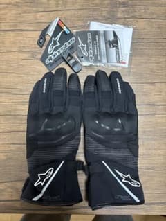 rsTAICHI グローブ アルパインスターズ　ダイネーゼ　カーボン rsTAICHI グローブ アルパインスターズ ダイネーゼ カーボン | Shop at