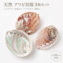 天然アワビ貝殻 3枚セット 約10cm インテリア お香立てにものサムネイル