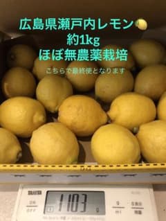 広島瀬戸内レモン　約1kgのサムネイル