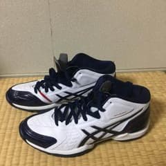 バスケットボールバッシュのサムネイル