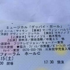 8/10まで限定値下げ☆ミュージカル「グッバイガール」S席1枚☆のサムネイル