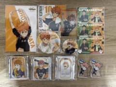 ハイキュー!! 日向翔陽　13点セットのサムネイル