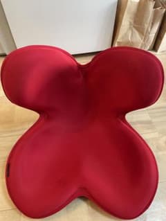 ボディメイクシート　Style　レッドのサムネイル