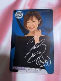 2018 第1弾 プロライターチップス 青山りょう N - メルカリ