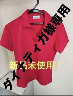 ダイナティガ様専用ページのサムネイル