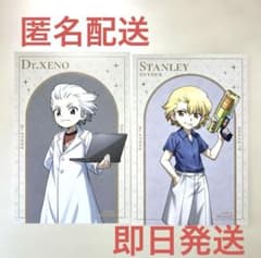 ドクターストーン ロフト 特典 両面イラストカード ゼノ スタンリー