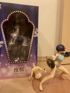 コウ様専用（閃乱カグラ　夜桜　フィギュアセット）のサムネイル