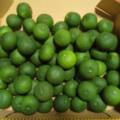 徳島県産無農薬すだち　露地物のサムネイル