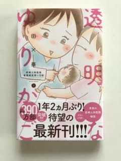 透明なゆりかごのサムネイル