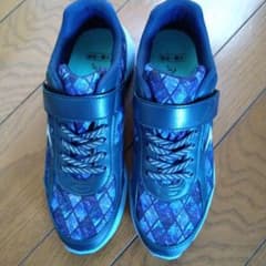瞬足22センチのサムネイル
