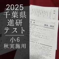 進研テスト 小学6年 4号 2025秋実施用 - メルカリ