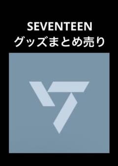 SEVENTEENウォヌ トレカ5枚+カード4枚+缶バッジ1個 まとめ売り - メルカリ