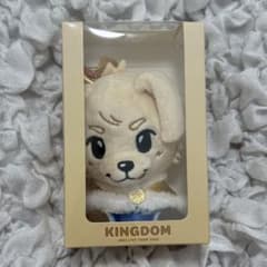 三代目 KINGDOM 岩田剛典 キャラクターぬいぐるみ ロッキー - メルカリ