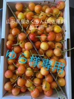 山形県産さくらんぼ (佐藤錦) ゆら様専用のサムネイル