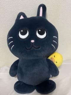 RIIZE RIIZING DAY トニャンドク40cm ドール ぬいぐるみ RIIZE RIIZING DAY トニャンドク40cm ドール ぬいぐるみ - メルカリ