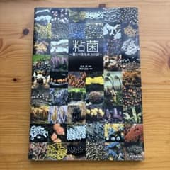 粘菌 : 驚くべき生命力の謎 粘菌: 驚くべき生命力の謎 | 松本 淳, 伊沢 正名 |本 | 通販 | Amazon