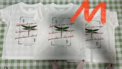 INSECT COLLECTION トンボ TシャツTシャツ M105cm 3枚のサムネイル
