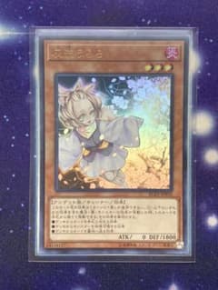 【遊戯王】灰流うらら、ウルトラ1枚のサムネイル