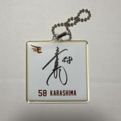 楽天イーグルス　ミニ色紙キーチェーン　辛島航選手のサムネイル