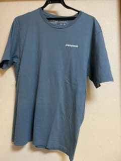 patagonia パタゴニア Tシャツのサムネイル