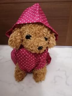 【定価2200円、新品タグ付】犬用レインコートのサムネイル