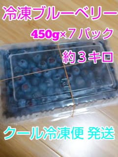 ブルーベリー 冷凍 ３キロ(450g×7パック )クール(冷凍)便発送のサムネイル