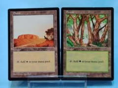 MTG【APAC】 Plains Forest 2枚セット 英語版のサムネイル