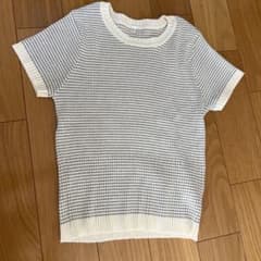 半袖ニット クルーネック グレー×ホワイト L
