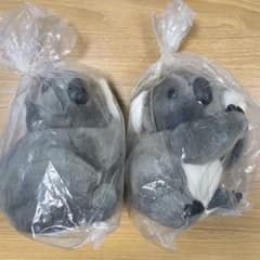 コアラ ぬいぐるみ オーストラリアのサムネイル
