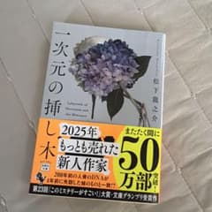 松下龍之介 一次元の挿し木のサムネイル