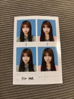 向井怜衣 seju 証明写真 4枚セットのサムネイル