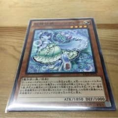 遊戯王 シンデレラのサムネイル