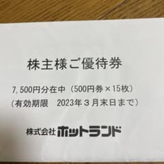 銀だこ　株主優待券　7500円分のサムネイル