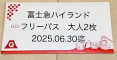 【即日発送】富士急ハイランドフリーパス券　2枚　有効期限 2025年06月30日のサムネイル