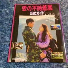 愛の不時着　　ガイドブックのサムネイル